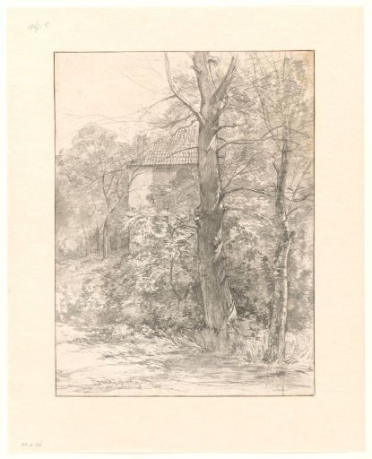 House among trees