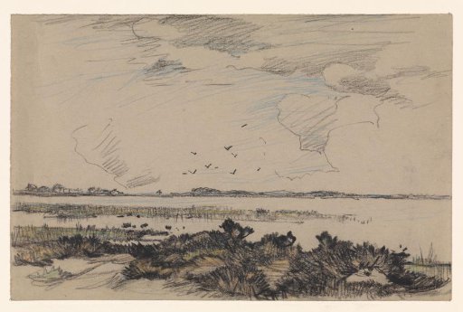 View of a fen