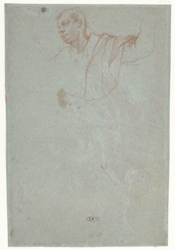 Study of the upper body of a young man