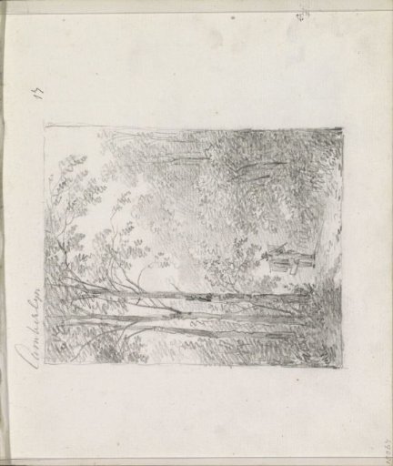 Walker on a forest path
