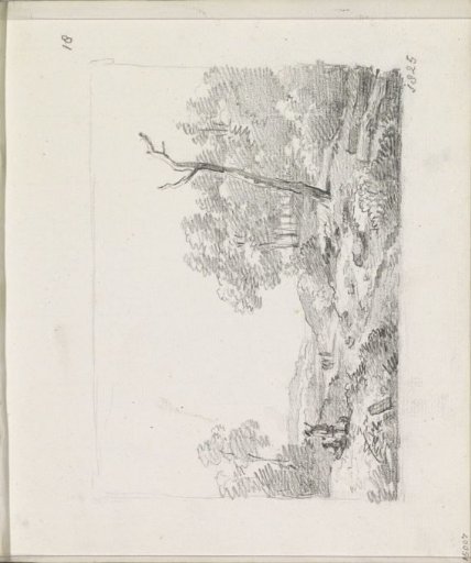 Path through an open landscape with a dead tree and travelers
