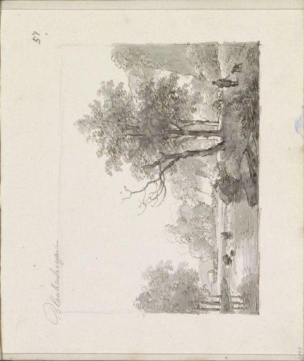 Man with a dog on a path along a river