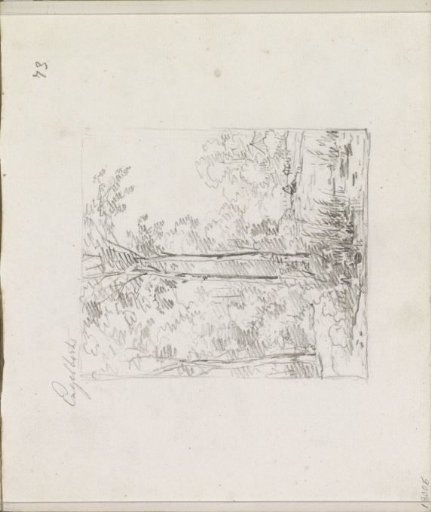 Landscape with trees on a waterfront