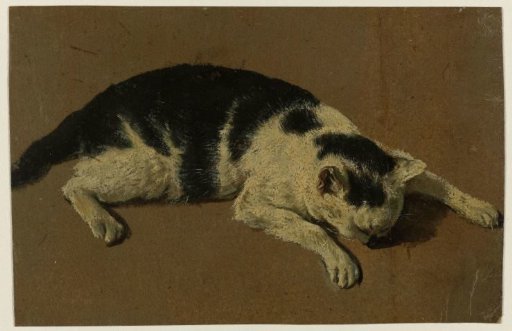 Cat lying with its head between its front paws