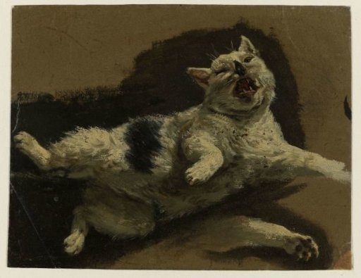 Cat lying on its back with a paw raised