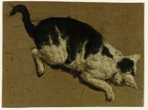Cat looking down from an elevation