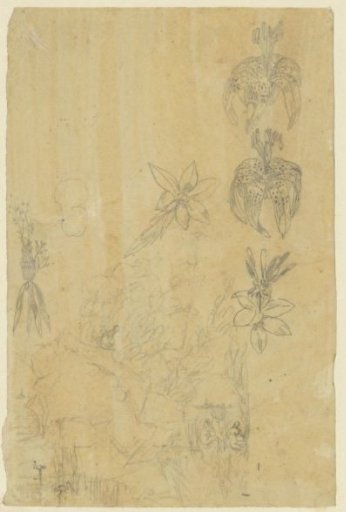 Flower Studies and Bathing Women