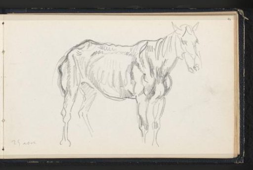 Lean Horse, Facing Right