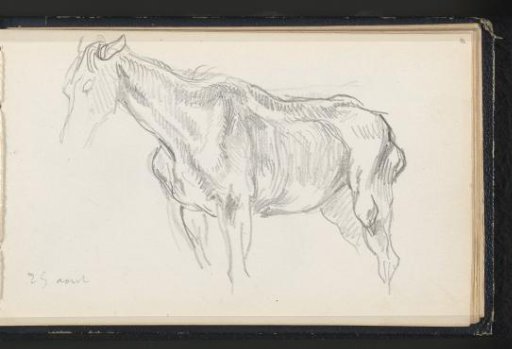 Lean horse, facing left