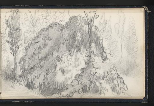 Figure on a path with shrubbery