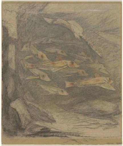 School of ponies and a ray