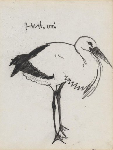 Dutch stork
