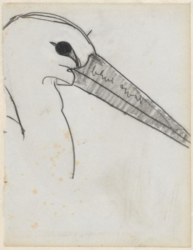 Head of a Dutch stork