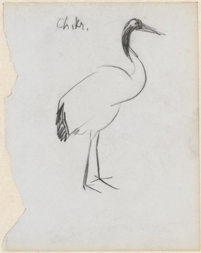 Chinese crane