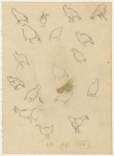 Chickens