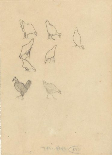 Chickens