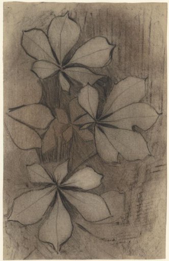 Chestnut leaves