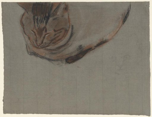Reclining cat