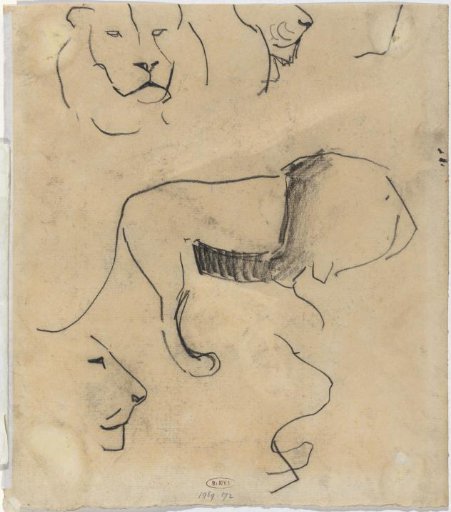 Study sheet with lions