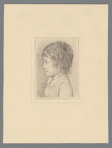 Young boy's head