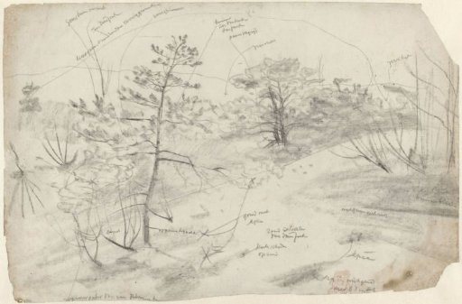 Hill landscape with trees, with colour notes