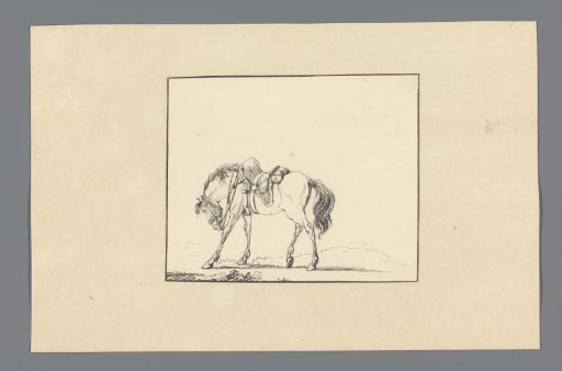 Saddled horse