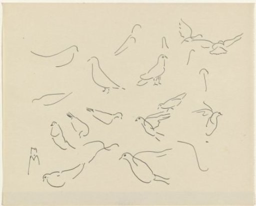 Studies of pigeons