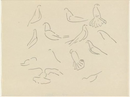 Studies of pigeons
