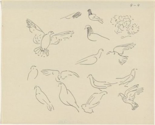 Studies of pigeons