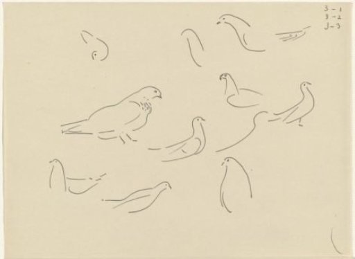 Studies of pigeons