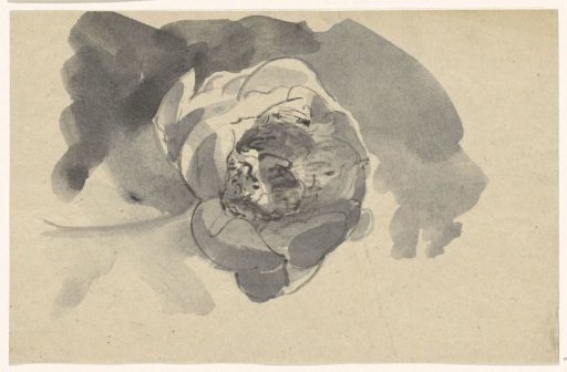 Flower study