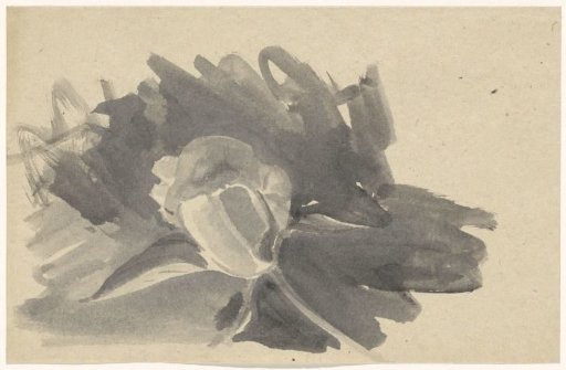Flower study