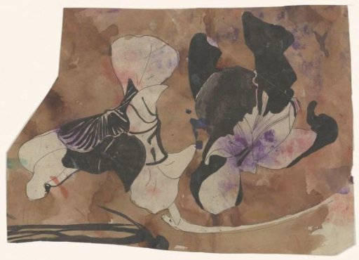 Flower study