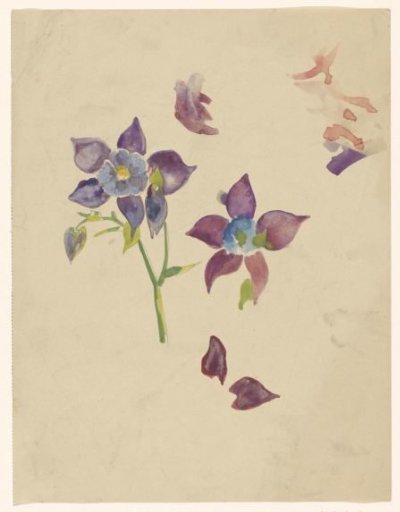Flower study