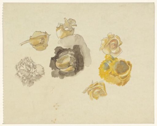 Studies of flowers in yellow