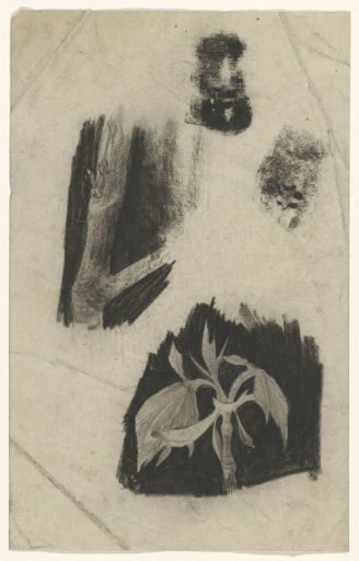 Study of a leaf and a sprig