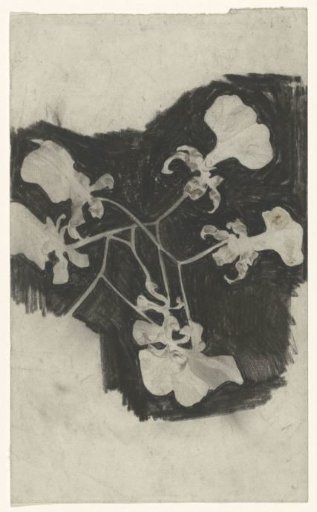 Flower study