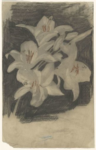 White lilies