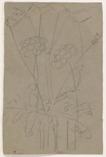 Plant study