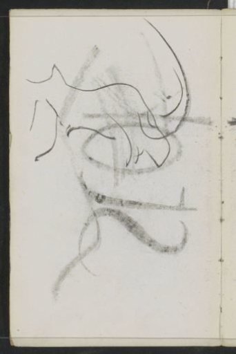 Lines