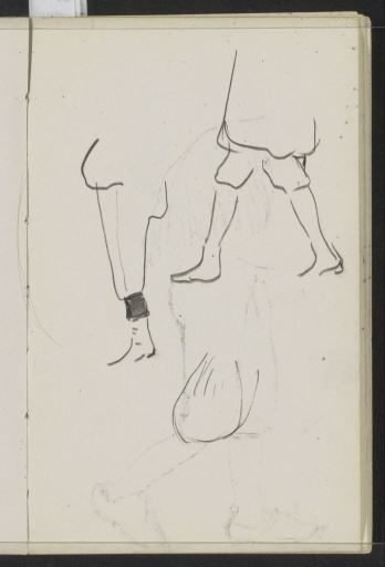 Pair of walking legs and a leg