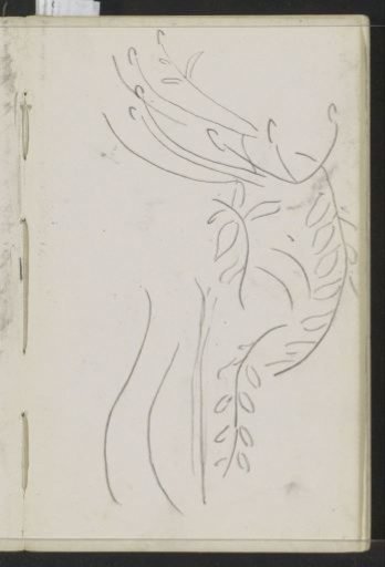 Plant Motif