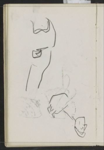 Studies