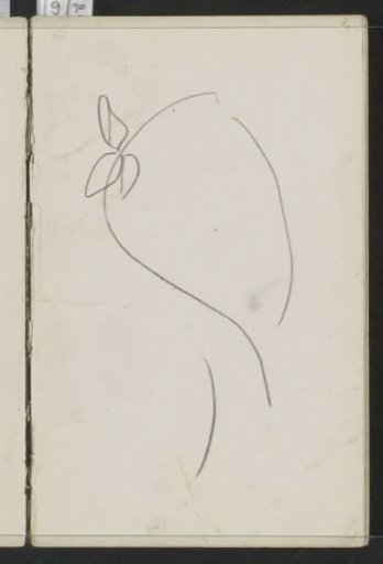 Curved Line with a Bow