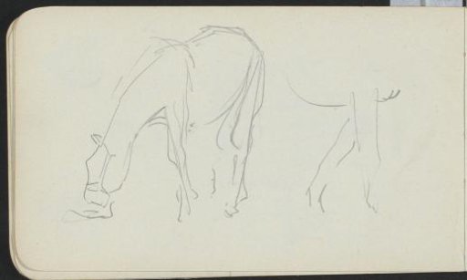 Grazing horse