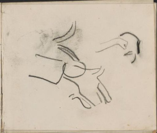 Hand and a forearm