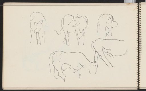 Cows