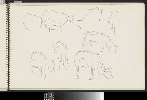 Cows