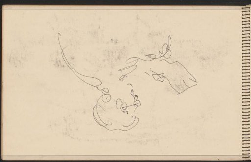 Woman reading with spectacles