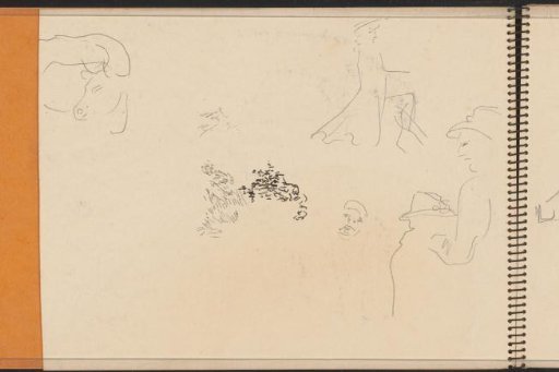 Figure studies, plants and animals
